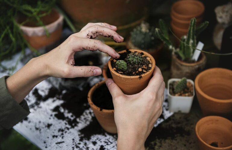 Nachhaltige Gartenpflege: Worauf Hobbygärtner 2025 achten sollten
